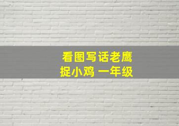 看图写话老鹰捉小鸡 一年级